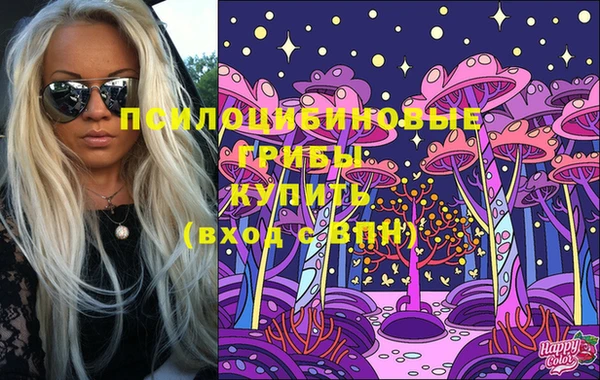 apvp Богданович