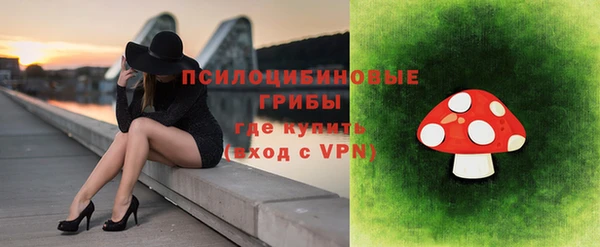 мет Богородицк