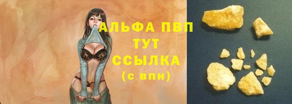 apvp Богданович