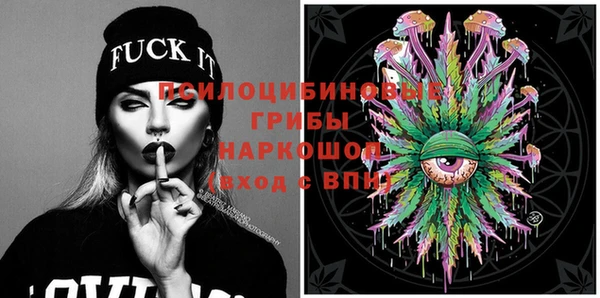 apvp Богданович