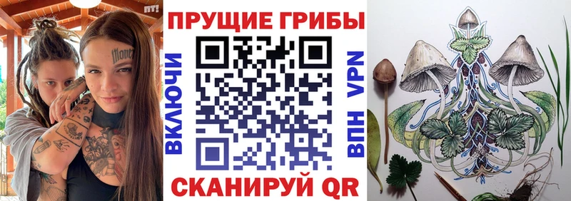 Псилоцибиновые грибы ЛСД  MEGA   Мегион 